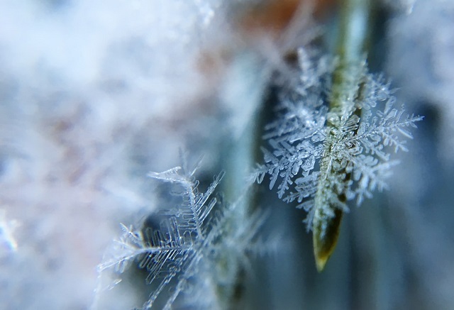 降る時期や質感で名前が変わる「雪」。それぞれ状態による名前や別名など、たくさんあります！！