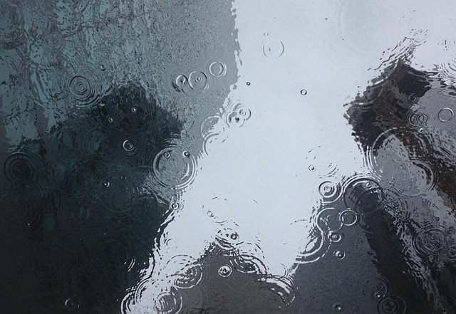雨が降る前の“あの匂い”、あなたも感じる?その正体「ペトリコール」とは