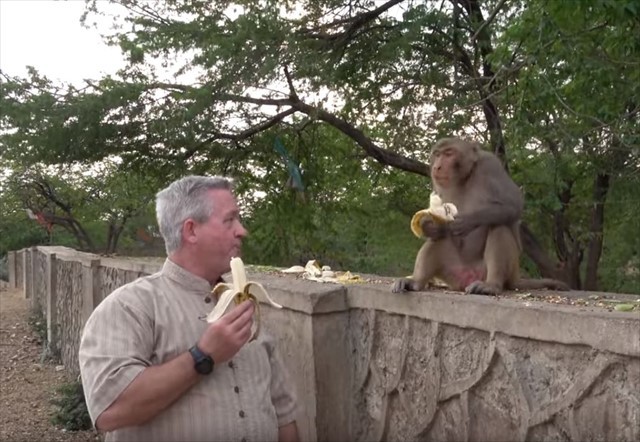 お前が食べるんかい(笑) 好物のバナナをめぐる、目ざとくて欲張りなサルの行動が面白い！