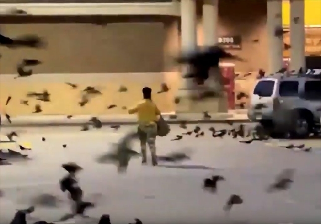 まるでヒッチコック！？大量の黒い鳥がスーパーの駐車場を占拠！この世の終わりのような恐ろしい光景に
