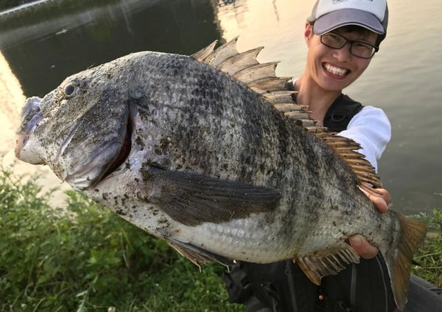 海釣りでの雨と釣果との関係を徹底考察！魚への影響や釣り方のポイントは？