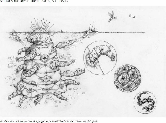 「エイリアンはすぐそこにいる」有名天体物理学者が暴露！ 人類の“宇宙人観”を刷新する衝撃的容姿とは!?