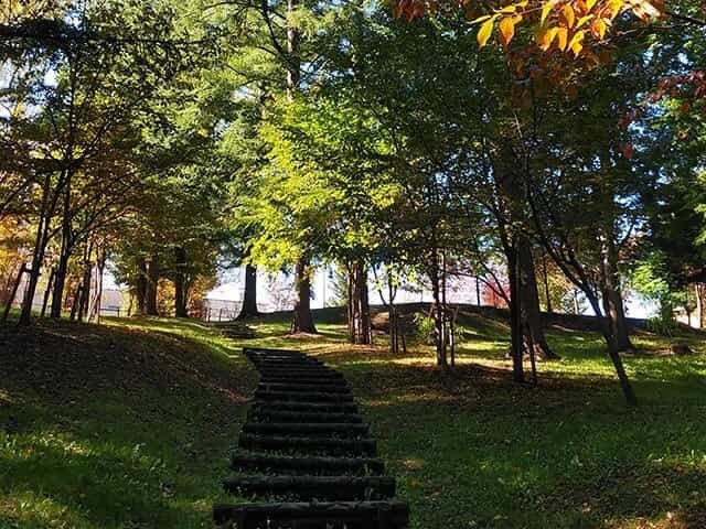 今年で100周年を迎えた道東で最古の野付牛公園