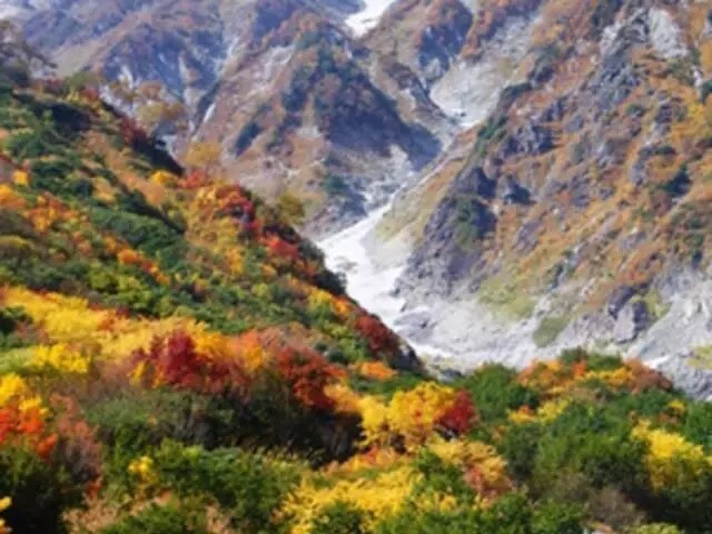 【登山知識】氷河の裂け目「クレバス」に落ちたらどうなる？危険から身を守る術は？