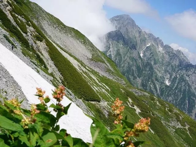 【登山知識】氷河の裂け目「クレバス」に落ちたらどうなる？危険から身を守る術は？