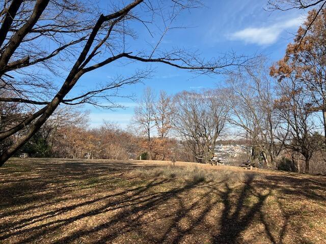 【首都圏からおでかけおすすめ！】ちょっとした山登り気分も味わえる狭山丘陵の都立公園散歩