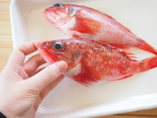【観光も移住もおすすめ】”海あり県”宮城・仙台の魅力｜新鮮な魚介が近場の市場でいつでも手に入る！