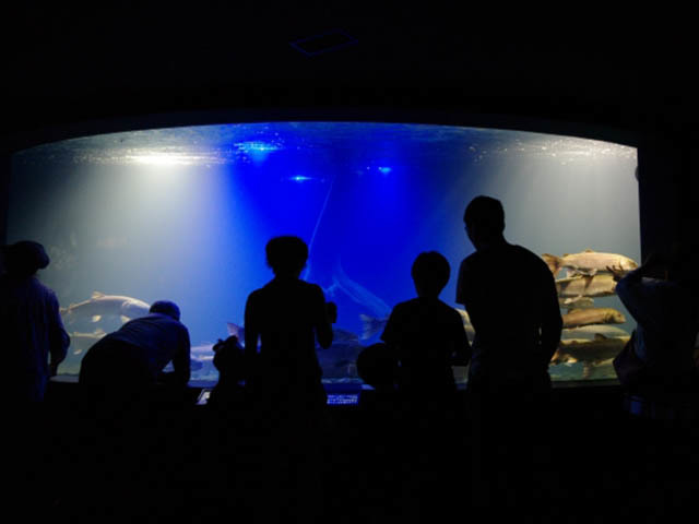 北の大地の水族館 -山の水族館-