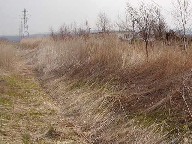 旧国鉄富内(とみうち)線の遺構を巡る