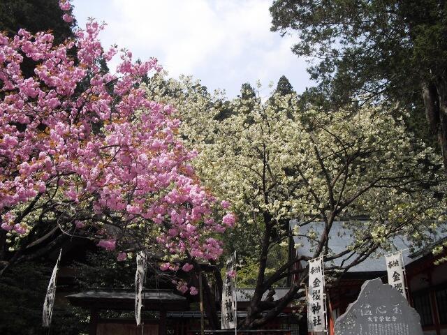 昇仙峡観光で訪れたい！おすすめ絶景・体験スポットを紹介！