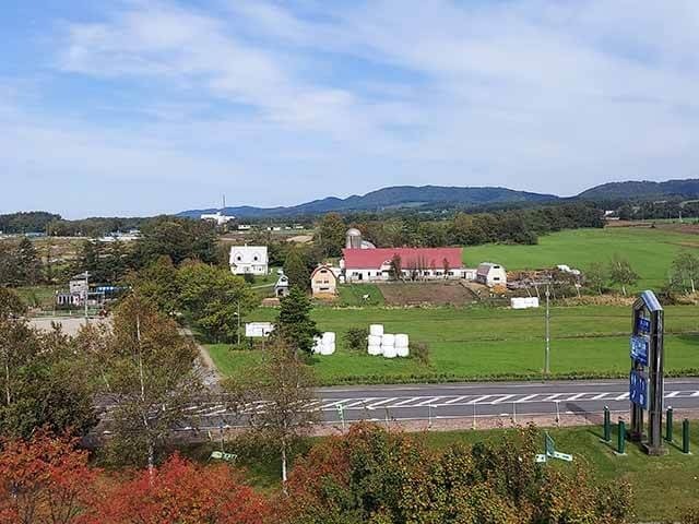 秋の味覚いっぱい！「道の駅 マオイの丘公園」