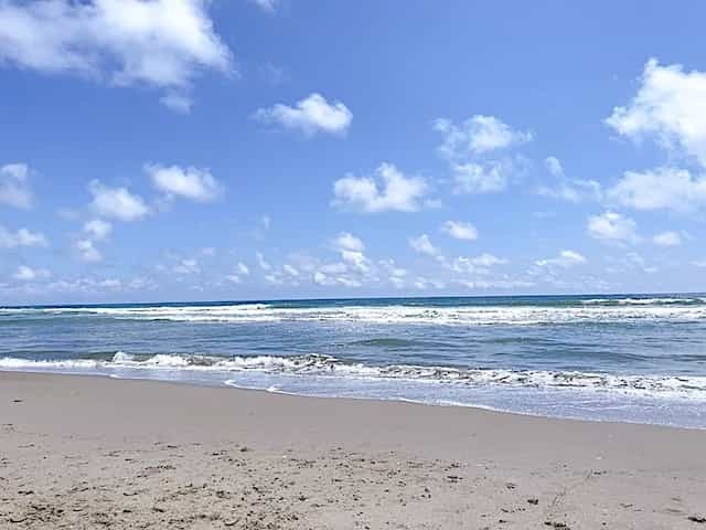 【観光も移住もおすすめ】”海あり県”宮城・仙台の魅力｜新鮮な魚介が近場の市場でいつでも手に入る！
