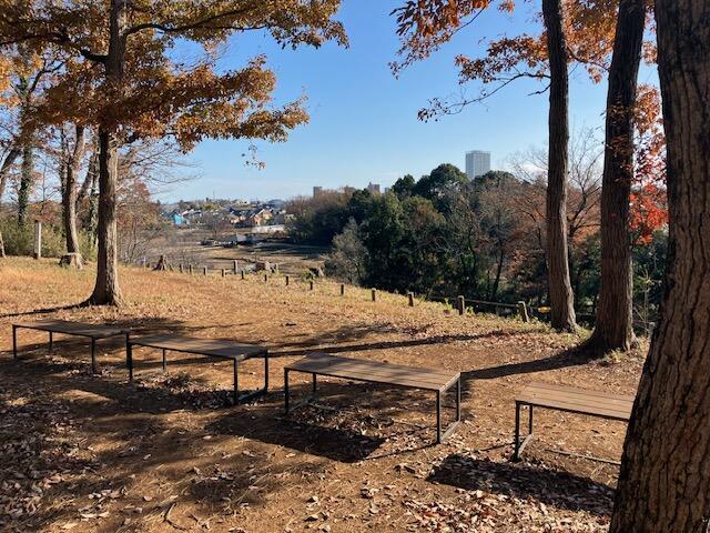 【首都圏からおでかけおすすめ！】ちょっとした山登り気分も味わえる狭山丘陵の都立公園散歩