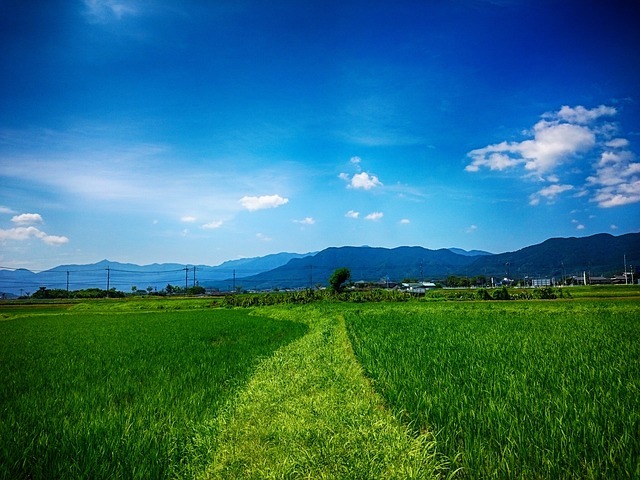 時計が止まったとき ― “祓えんほど強か念”が円満夫婦を恐怖に陥れる【実話怪談】