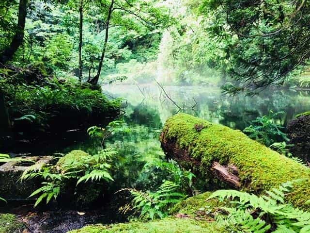 そこに行けば何がある・・？石川県さいはての地、能登半島へ行ってきました！