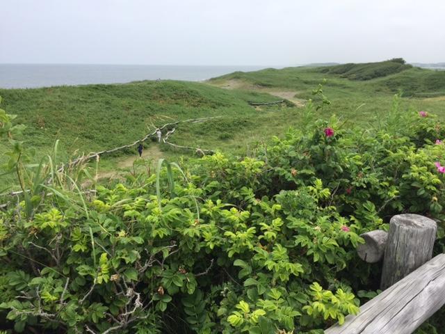目で!肌で!五感で!北海道・道東の大自然を感じてきました!