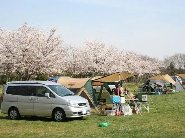 【全国】桜がきれいなキャンプ場特集。この時期ならではのお花見キャンプは格別！