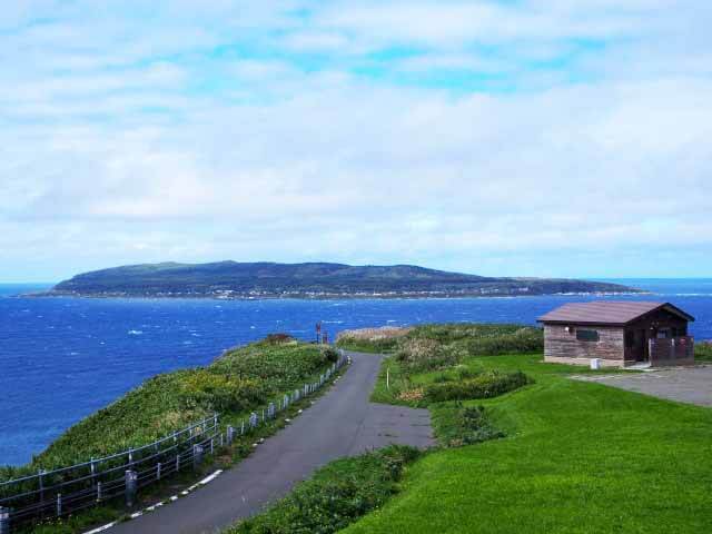 オロロン鳥って？北海道にしかいない貴重な海鳥をご紹介