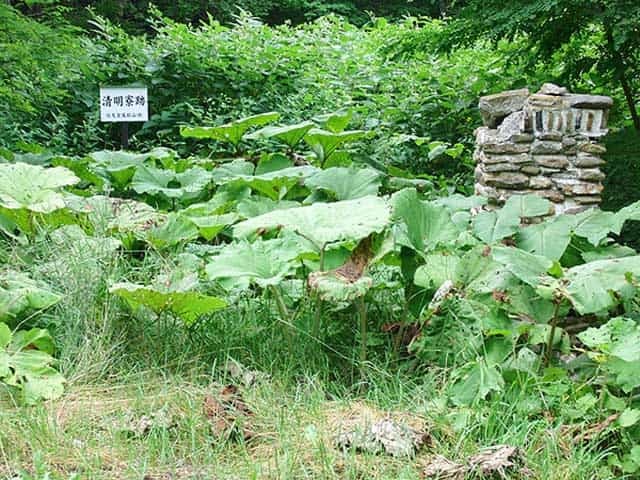 鴻之舞鉱山跡探訪