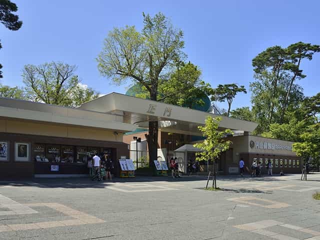 小さな子連れでも負担なく楽しめる、札幌市の円山動物園