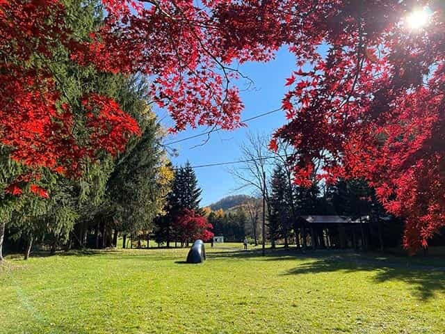 市民の憩いの場「安田侃彫刻美術館 アルテピアッツァ美唄」で紅葉を鑑賞！