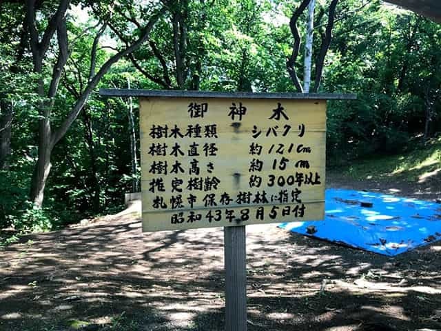 札幌パワースポットの源といわれる相馬神社