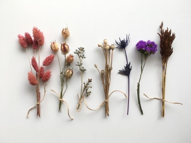 プレゼントとして最適な「スターチス」の花言葉とは?ドライフラワーにも適した人気のお花