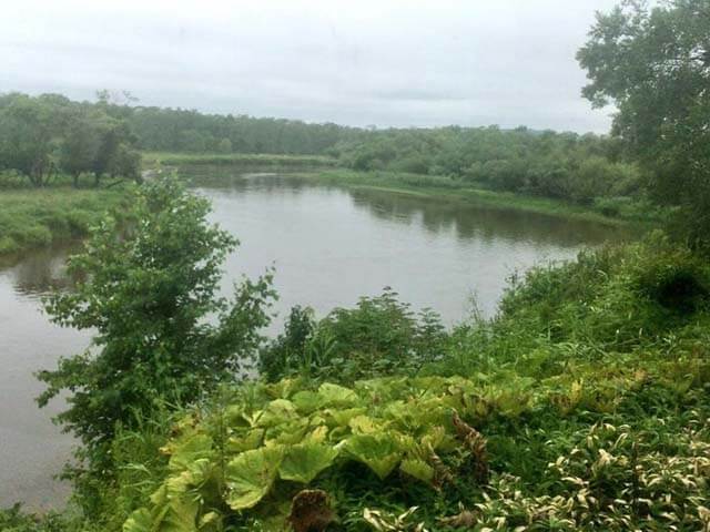 カヌーに乗って釧路湿原を散策