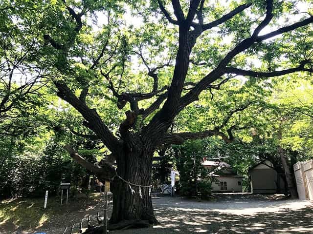 札幌パワースポットの源といわれる相馬神社