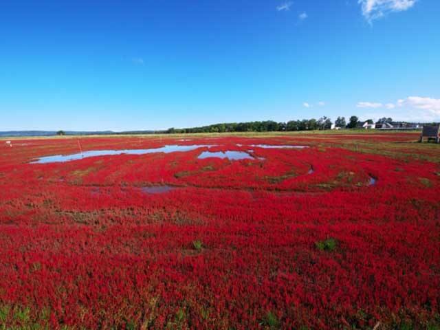 網走 オホーツクの大自然編