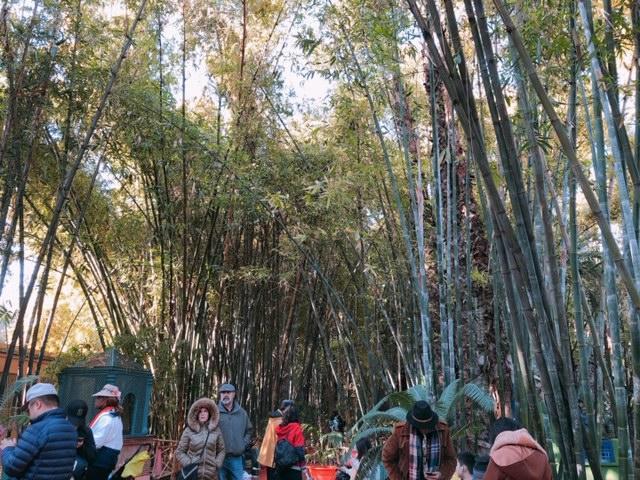 【モロッコ】あのイヴ・サン＝ローランが愛した「マジョレル庭園」
