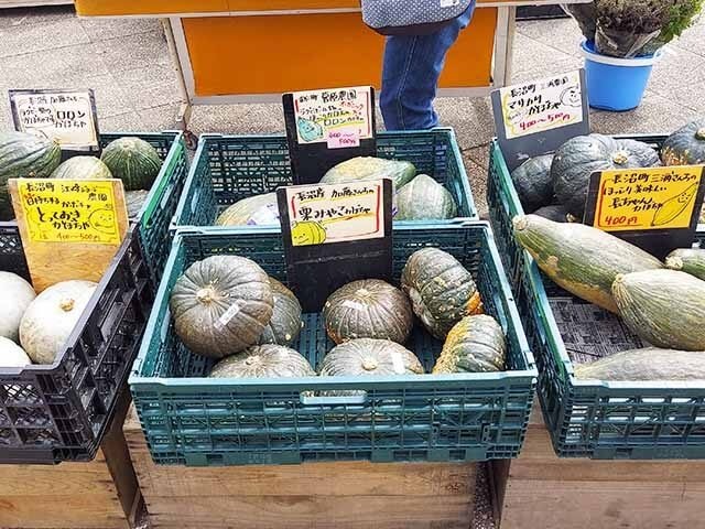 秋の味覚いっぱい！「道の駅 マオイの丘公園」