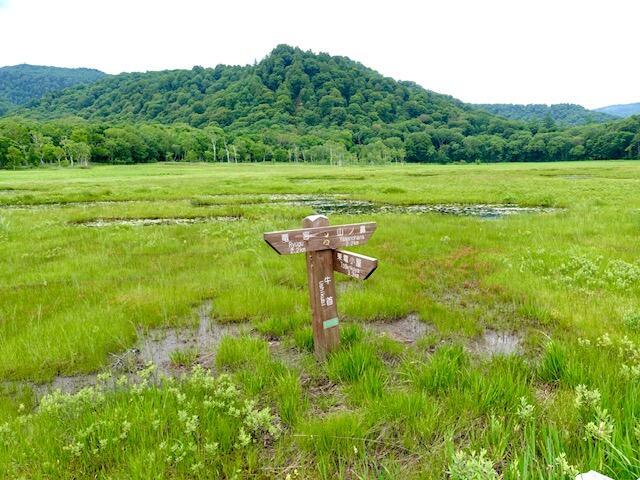 ニッコウキスゲなどカラフルな花々が湿原を彩る夏（7月）の尾瀬