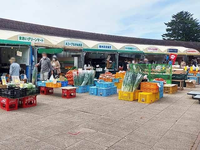 秋の味覚いっぱい！「道の駅 マオイの丘公園」