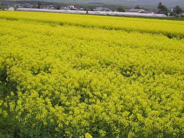 偶然出会った滝川の魅力