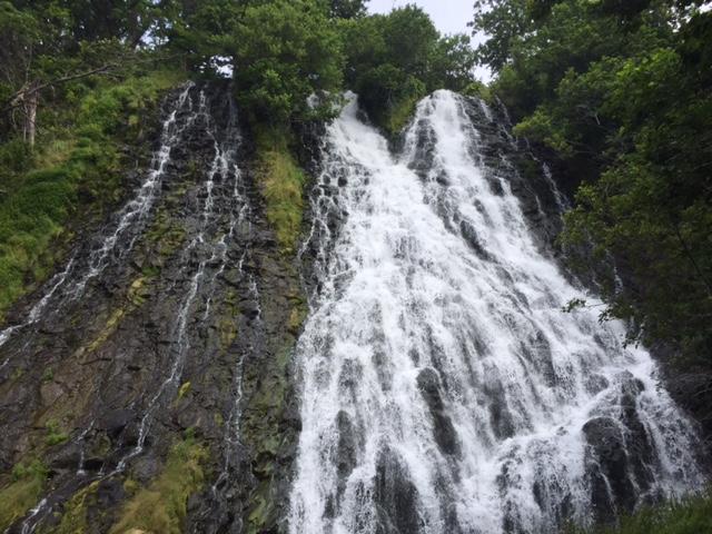 目で!肌で!五感で!北海道・道東の大自然を感じてきました!