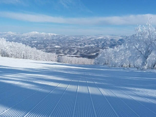 冬本番！ルスツリゾートに行ってみよう