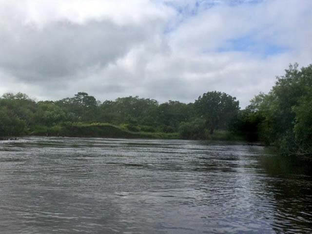 カヌーに乗って釧路湿原を散策