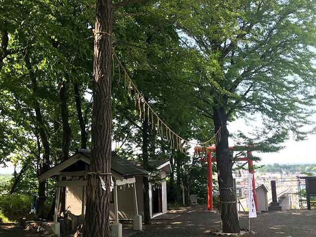 不時着した愛もヨミガエル「星置神社」