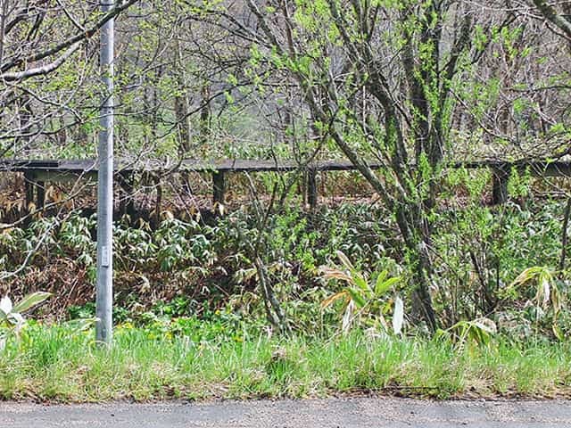 廃線・天北線跡を巡る