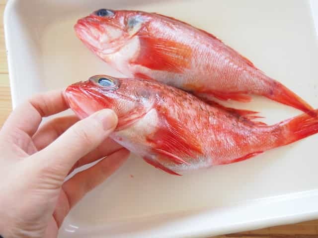【観光も移住もおすすめ】”海あり県”宮城・仙台の魅力｜新鮮な魚介が近場の市場でいつでも手に入る！