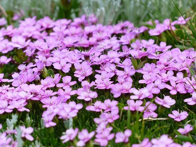 旧暦で6月を意味する「水無月(みなづき)」は梅雨のシーズンなのに、なぜ「水が無い」名前なの?