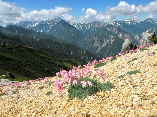 【槍ヶ岳・登山ガイド】ベストシーズンはいつ？初心者向け・日帰りルートもご紹介！