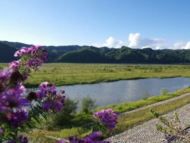 「二風谷アイヌ文化博物館」で穏やかに北海道の源流アイヌ文化に触れる