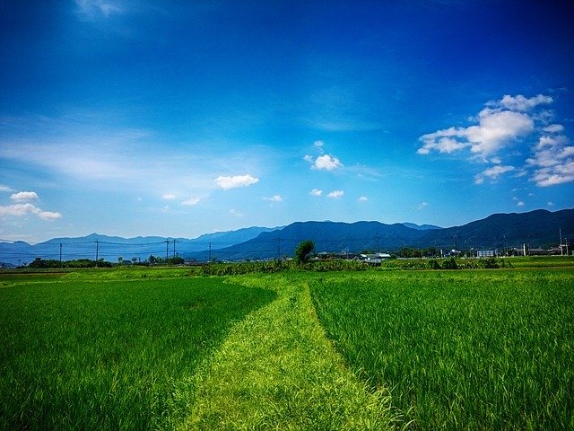 旧暦で6月を意味する「水無月(みなづき)」は梅雨のシーズンなのに、なぜ「水が無い」名前なの?