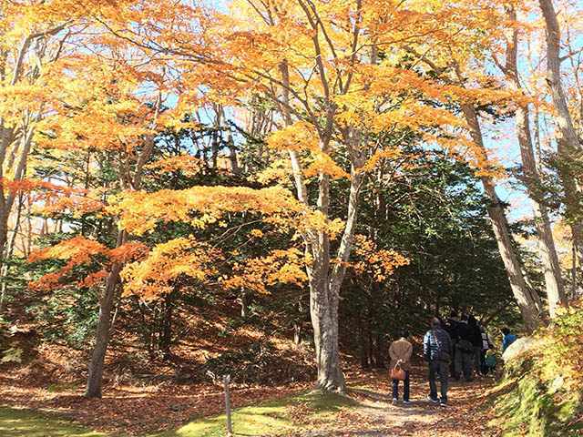 秋の道南、紅葉と函館を満喫する旅。