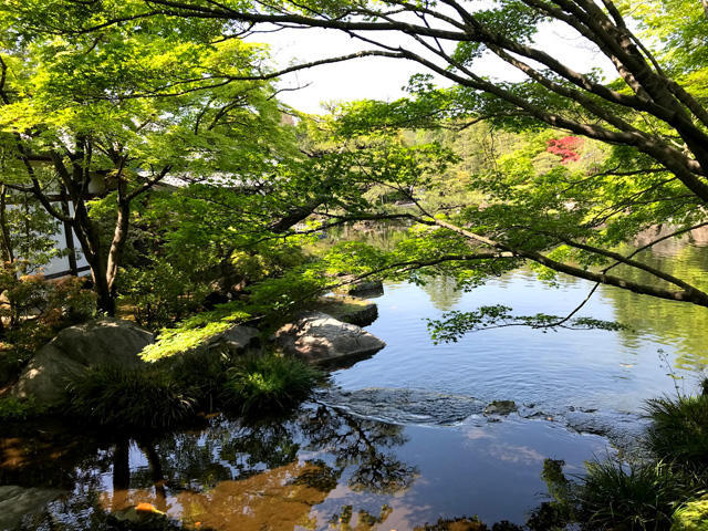 【世界遺産】の姫路城と【世界遺産候補】の彦根城。旅をするならどっち？