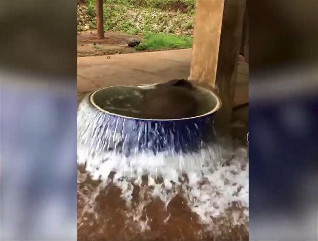 ゾウの赤ちゃんが水風呂に浸かってはしゃぐ姿が微笑ましい♪入水後、大量の水があふれる…