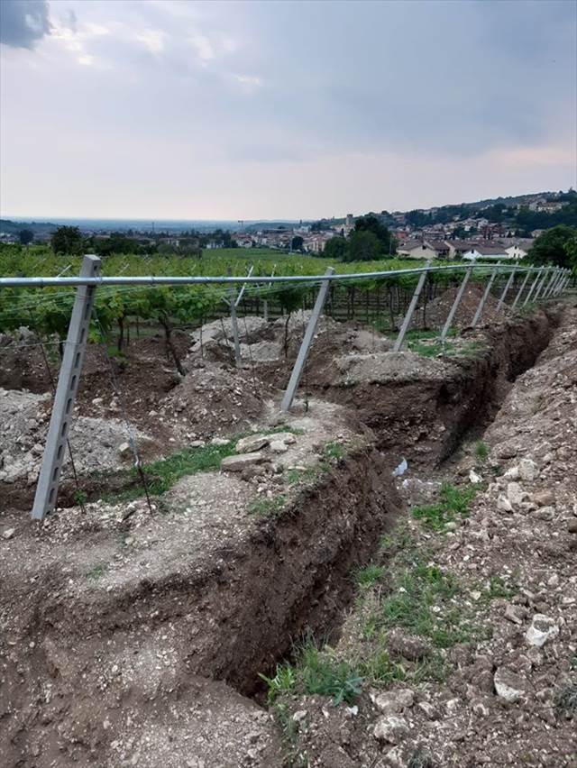 イタリアのブドウ畑で紀元3世紀頃のものと思われる床タイルが発掘された話！ローマ人の邸宅か？