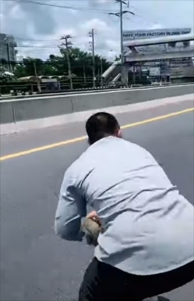 交通量の多い道路の真ん中に子猫が！ハラハラの救出劇の映像！心優しい男性に見つけてもらえて良かった